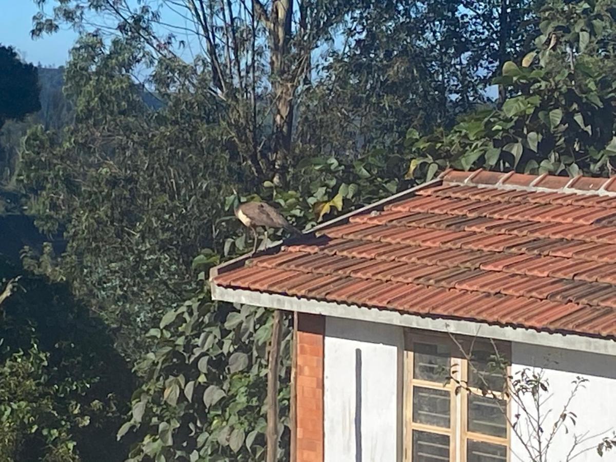 Kanjira House Ooty Buitenkant foto