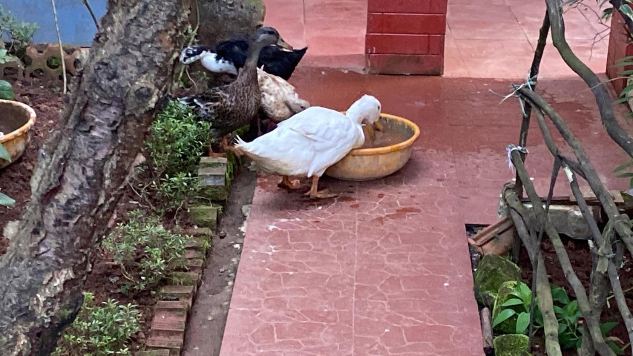 Kanjira House Ooty Buitenkant foto