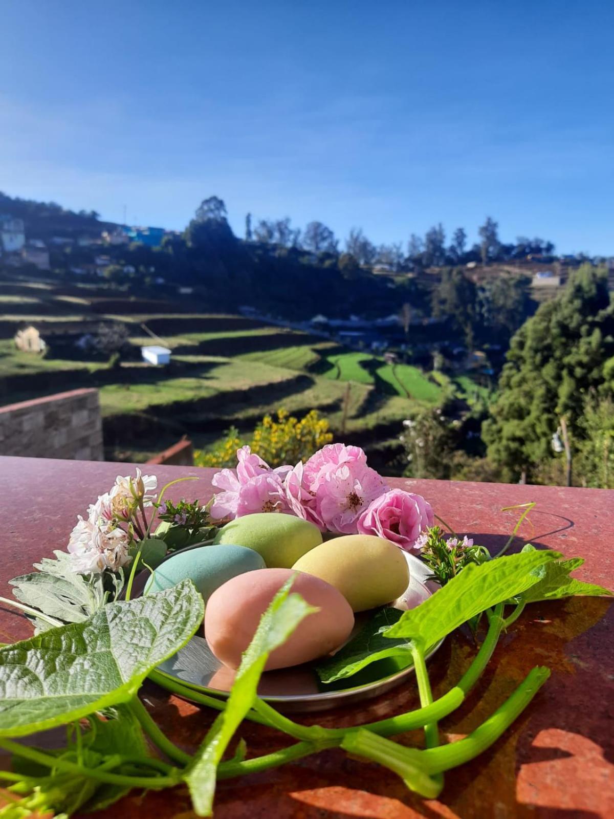 Kanjira House Ooty Buitenkant foto