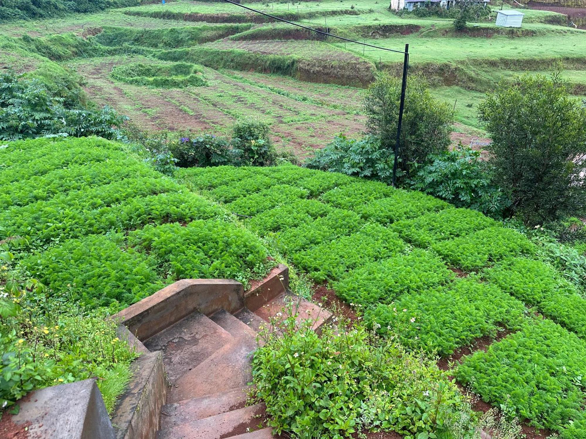Kanjira House Ooty Buitenkant foto